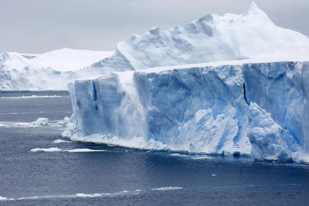 Antarctic 