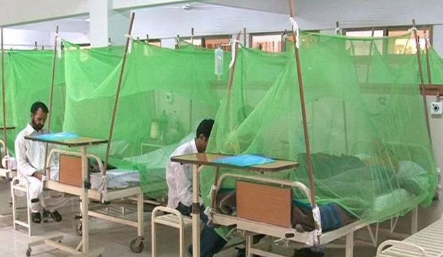 dengue Rawalpindi