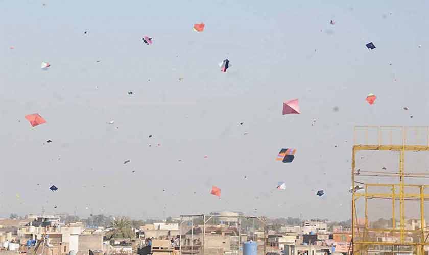 kites