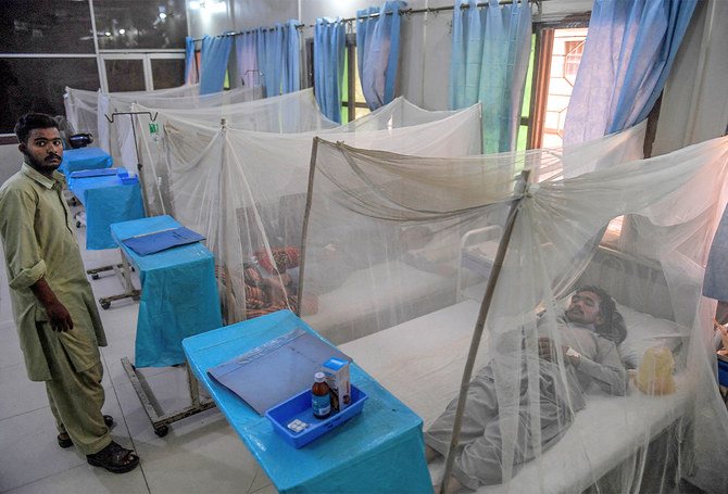 dengue Punjab