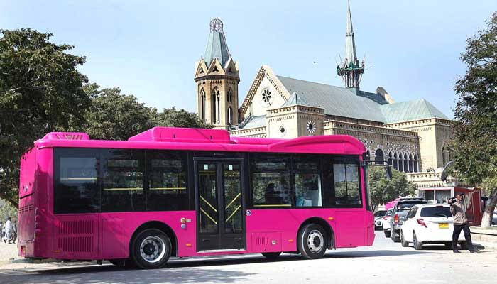 pink buses