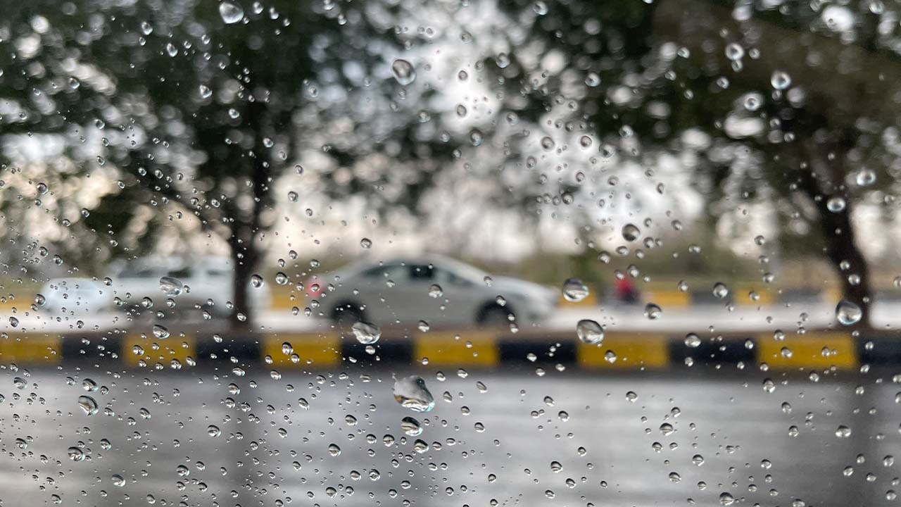 rain predicted