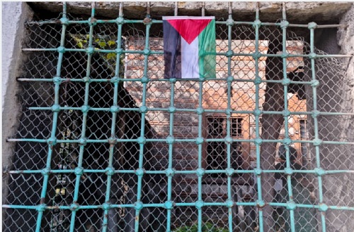Palestinians seek refuge in a graveyard amidst Israeli bombardment
