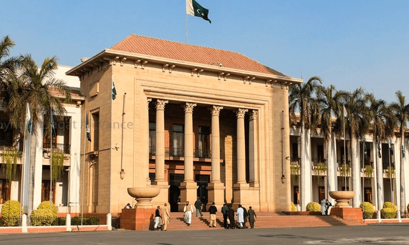 senate elections