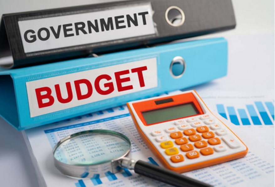 The federal budget presentation is set to be unveiled in parliament on June 12 and yet the formation of the National Economic Council is lagging behind.