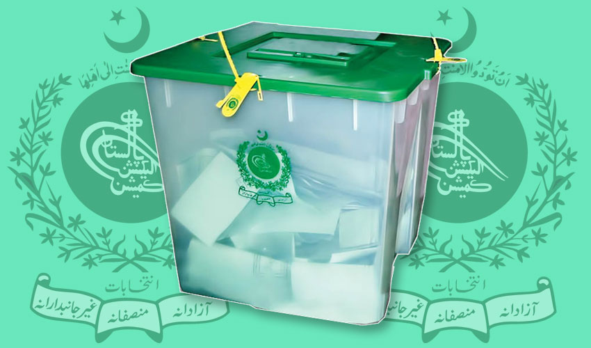 by-elections 2024 PML-N