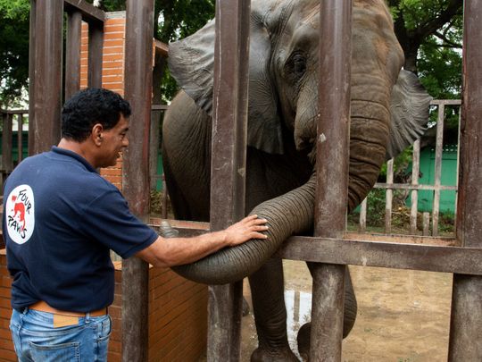 Madhubala Safari park