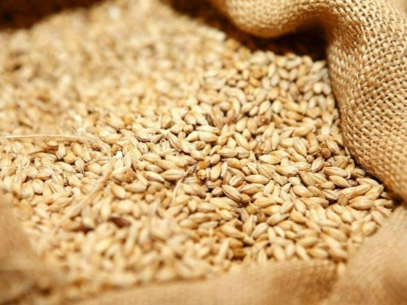 wheat imports Pakistan