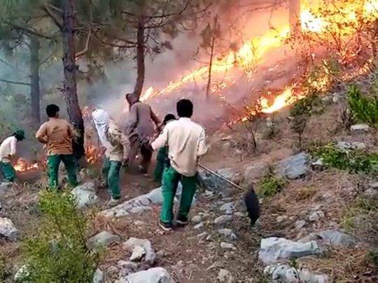 A wildfire swept through the Margalla Hills National Park and extended over a three-kilometer stretch in early hours of Saturday.