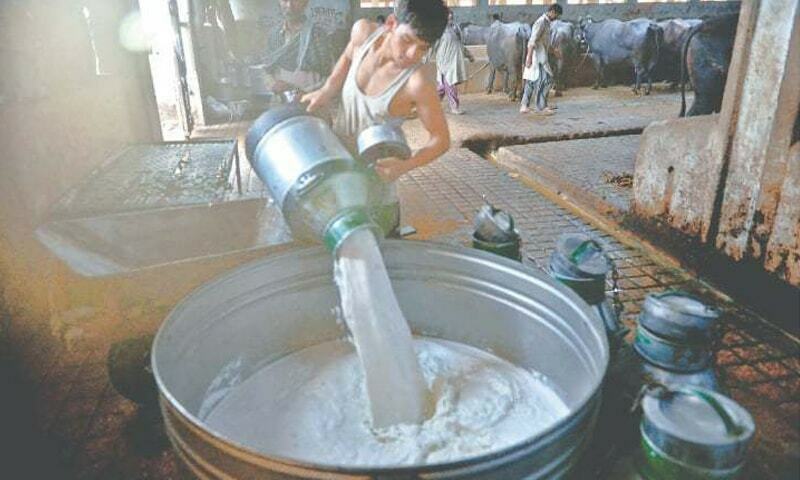 Milk prices Karachi