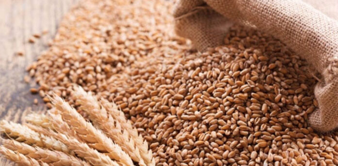 Wheat Import