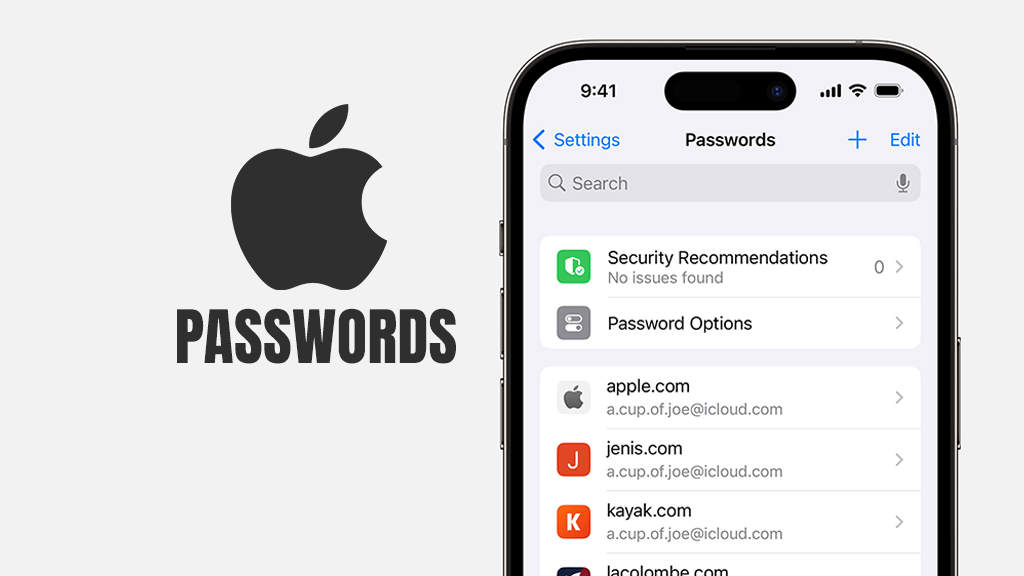Apple Passwords app