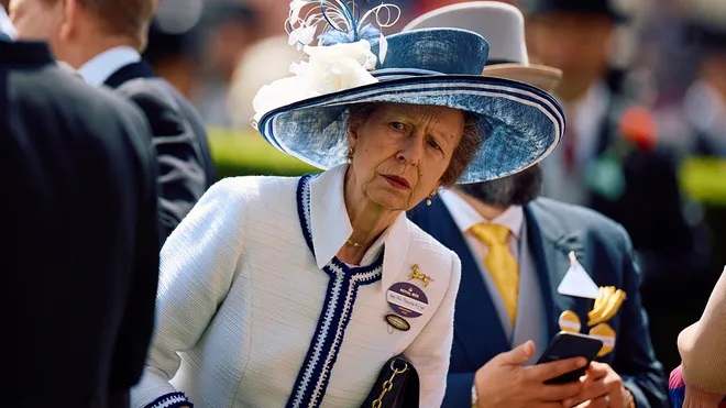 The younger sister of King Charles III, Princess Anne, suffered minor injuries and a concussion in an incident at Gatcombe Park estate in Gloucestershire, United Kingdom.