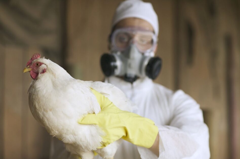 The World Health Organisation (WHO) on Friday said the first laboratory-confirmed case of human infection with avian influenza A (H5N1) virus was reported in Australia.