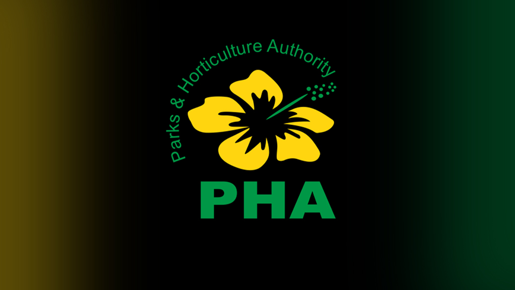 PHA criticised for prioritising tax collection over tree plantation