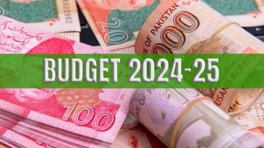 budget 2024-25