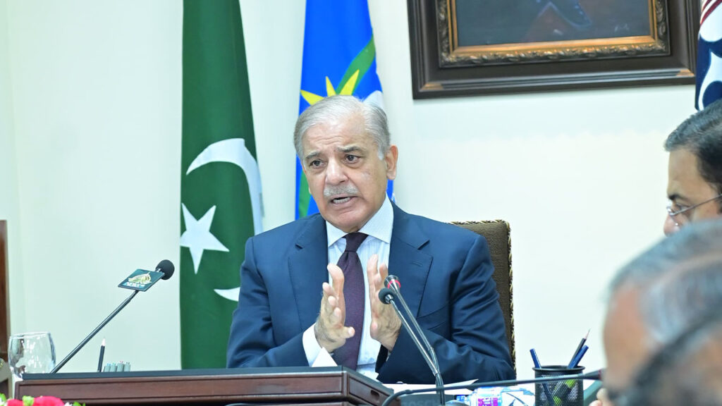 PM Shehbaz Sharif on reducing electricity prices