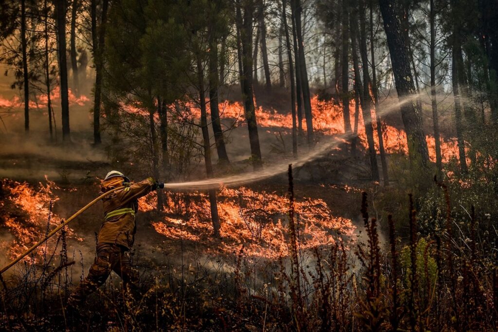 Portugal is currently enduring a severe crisis as uncontrollable forest fire rages across the country.