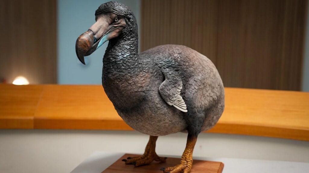 Dodo: Lord of the Rings director parts with $10m to resurrect dead bird