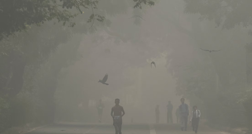 India's toxic smog