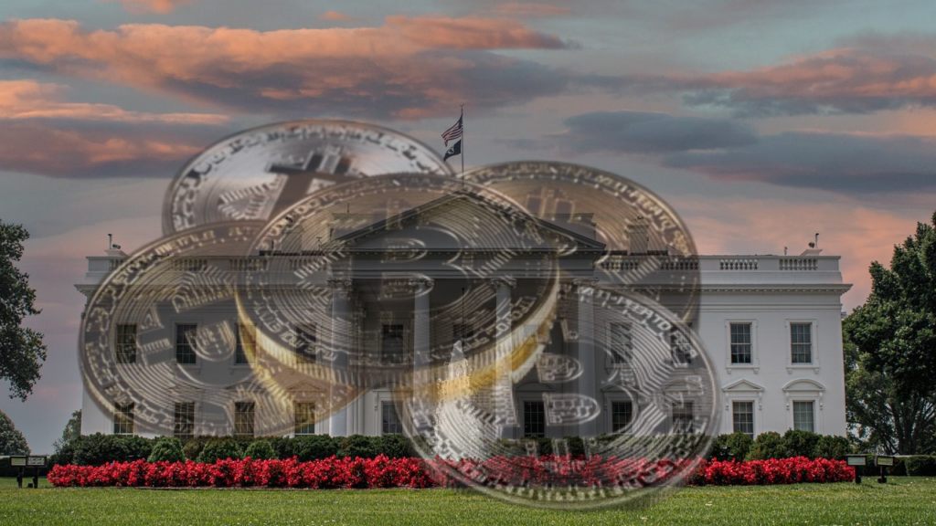 Trump team weighs creating first-ever White House crypto role - HUM News