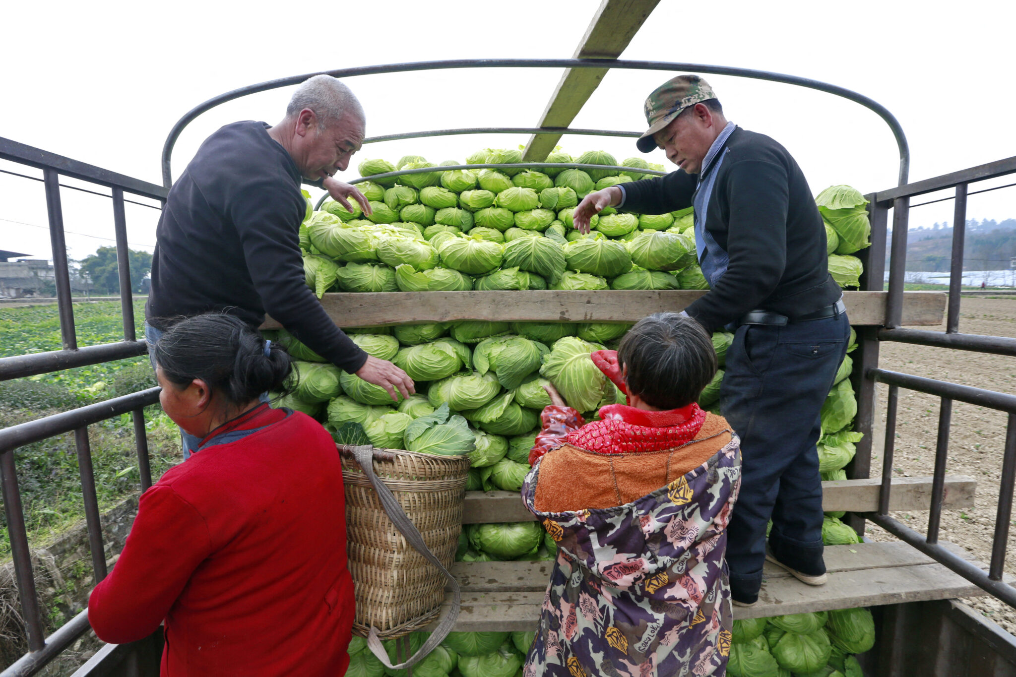 Chinese study recommends region-specific diet, amid rising obesity risk