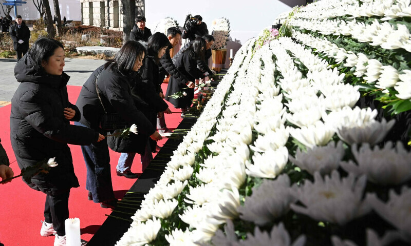 jeju air crash