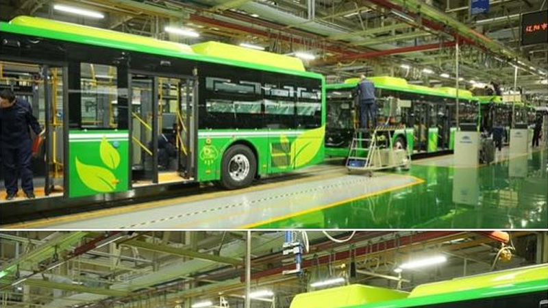 electric buses