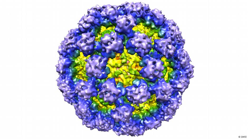 Norovirus is spiking across the United States this winter, according to data from the US Centers for Disease Control and Prevention (CDC).