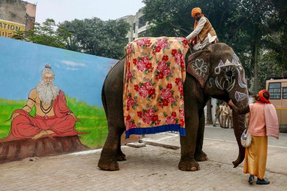 A jumbo operation is moving 20 elephants across the breadth of India to the mammoth private zoo set up by the son of Mukesh Ambani.