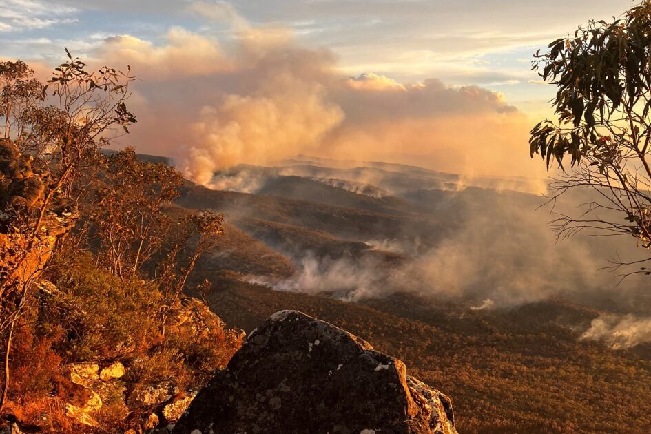 Australia's southeast sweated in a heatwave that intensified, elevating bushfire risk and prompting authorities to issue fire bans.