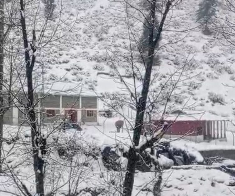 Neelum valley snowfall