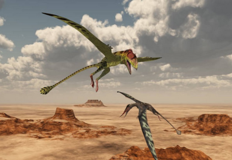 Scientists have long wondered how pterosaurs mastered flight, with a new study suggesting a tail vane may have improved their efficiency.