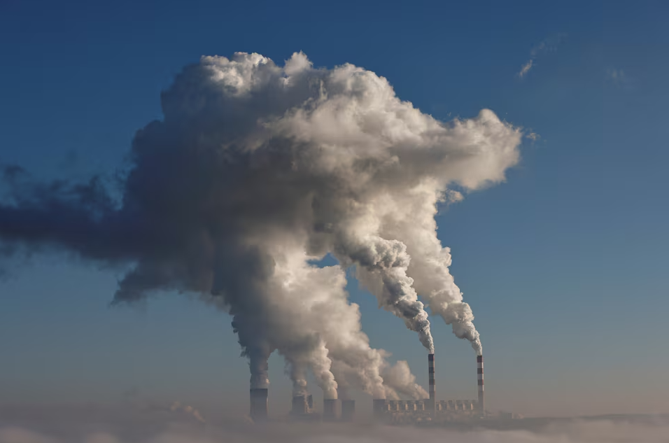 climate