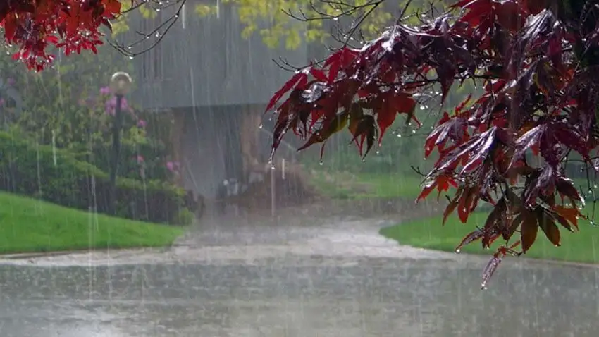 rainfall expected tomorrow in Punjab and Islamabad