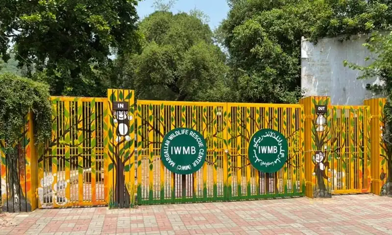 Dissolution of Islamabad wildlife board sparks controversy