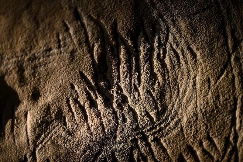 In a cave in France, ancient humans created prehistoric carvings of horses, mammoths, and rhinoceroses around 30,000 years ago.