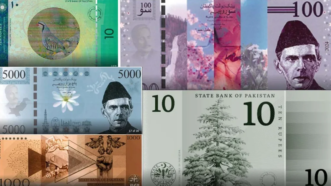 New Pakistani banknotes