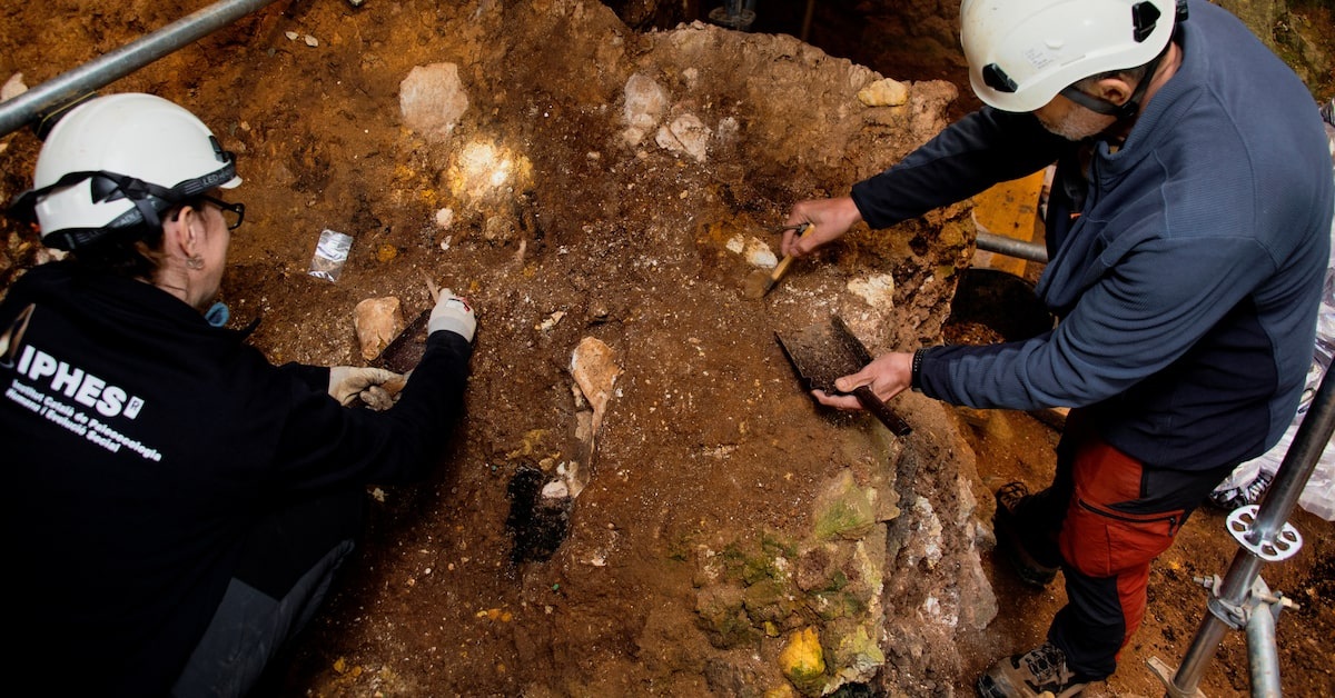 Scientists in Spain found fossils of facial bones dating 1.1 to 1.4 million years, possibly representing a new species in the human lineage