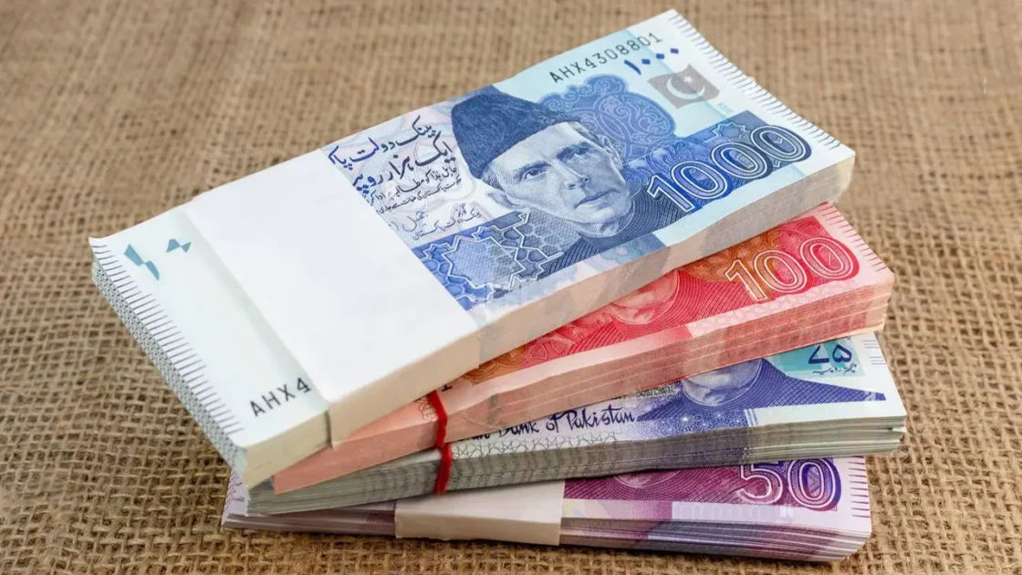 Fresh Pakistani currency banknotes