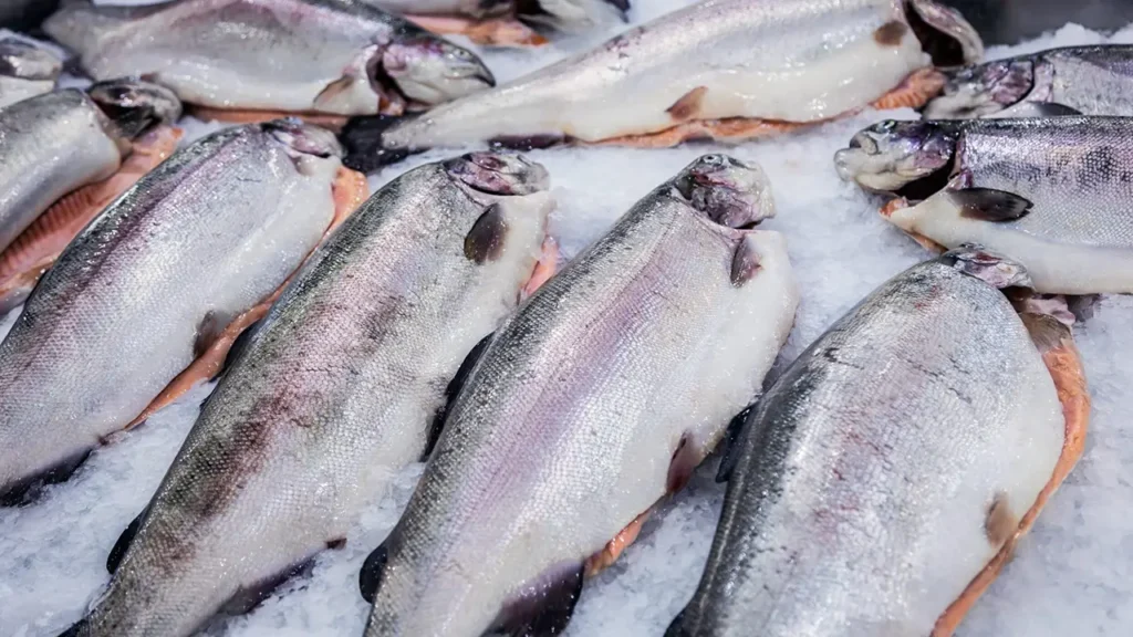 Pakistan seafood exports