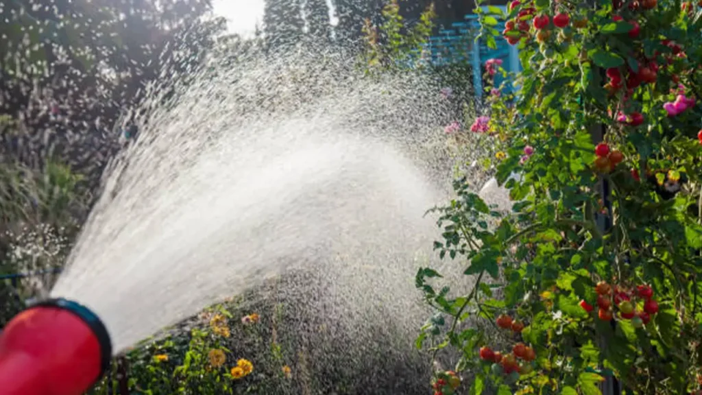 Water wastage Lahore