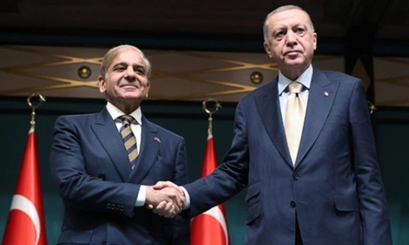 Turkiye President