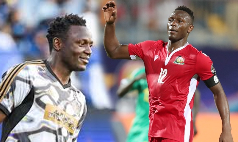 Wanyama