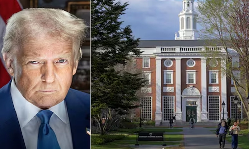 Harvard University
