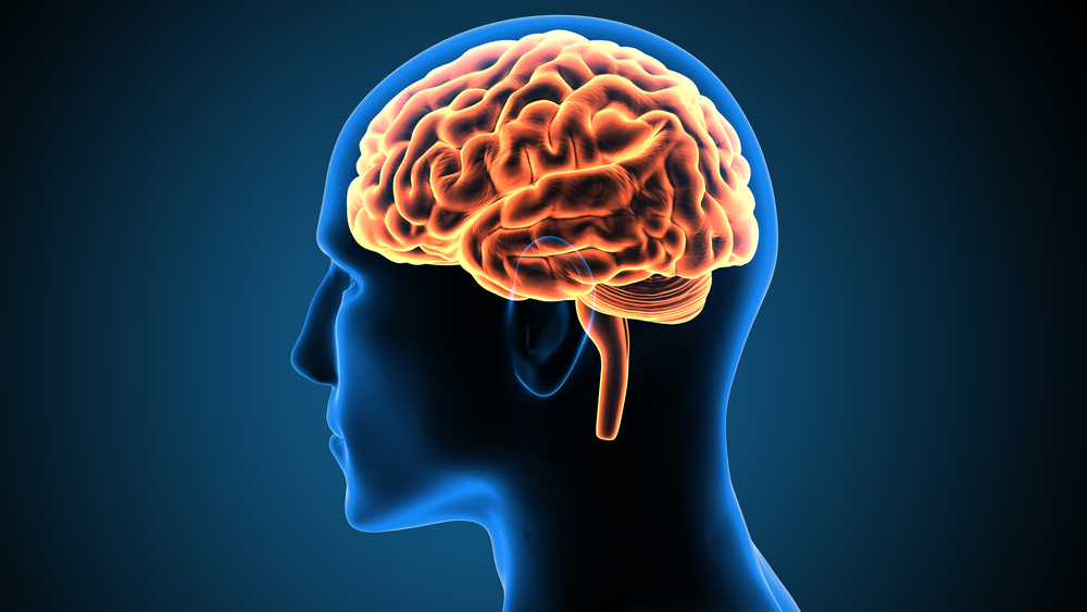 Conventional wisdom suggests memories of past experiences can help us navigate problems in the present. But how reliable are our memories?