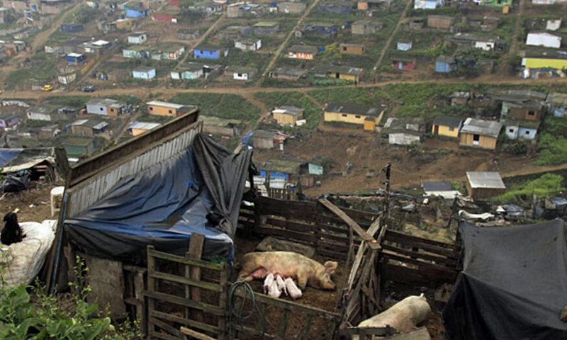 Peru earthquake