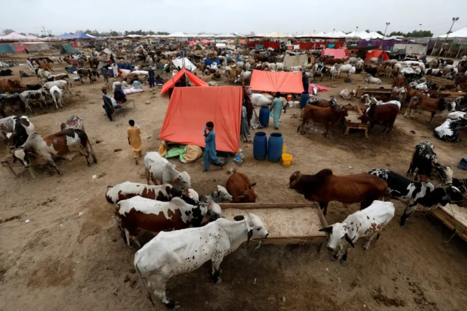 Eid ul Adha