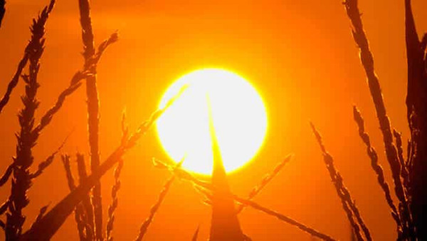 heatwave