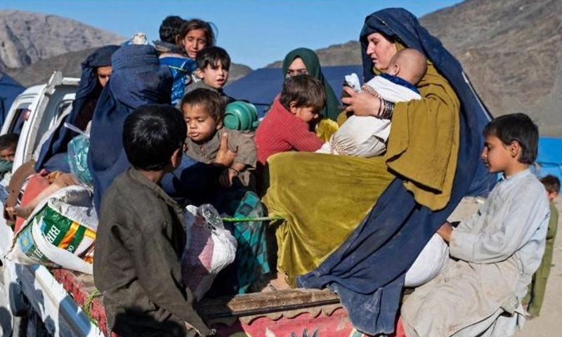 Afghans